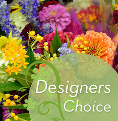 Designer's Choice
