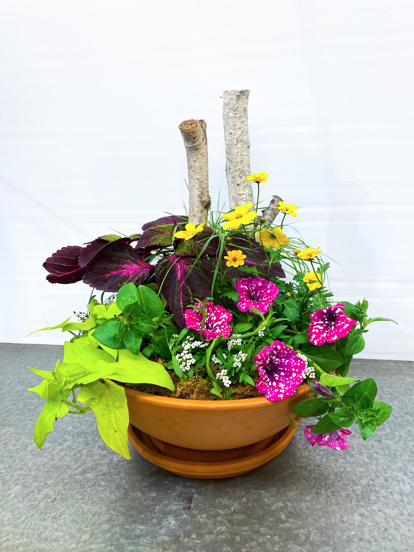 Full-Sun Outdoor Planter