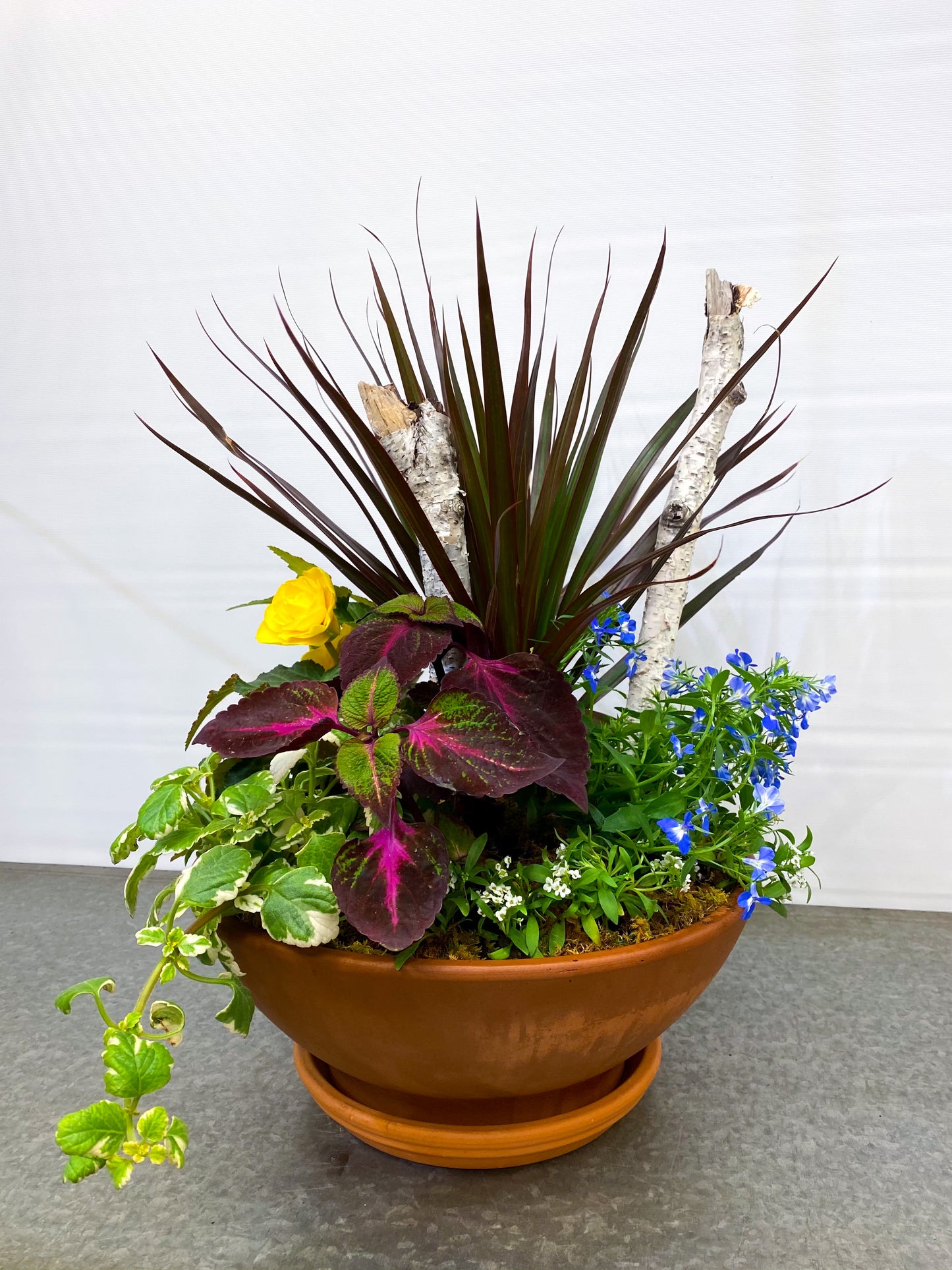 Part-Shade Outdoor Planter