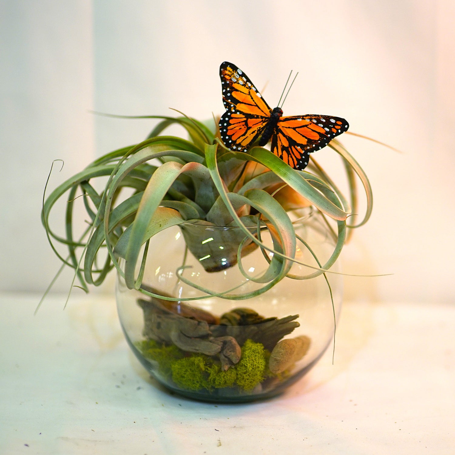 Sympathy and Funeral