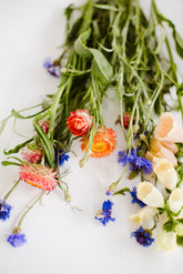 Your Enchanted Florist