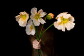 Your Enchanted Florist
