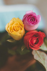 Your Enchanted Florist
