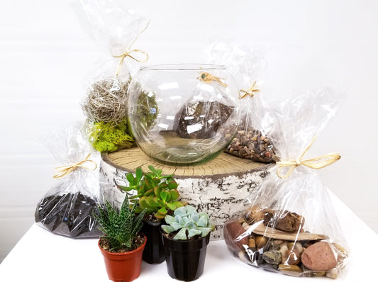 DIY Succulent Terrarium Kit