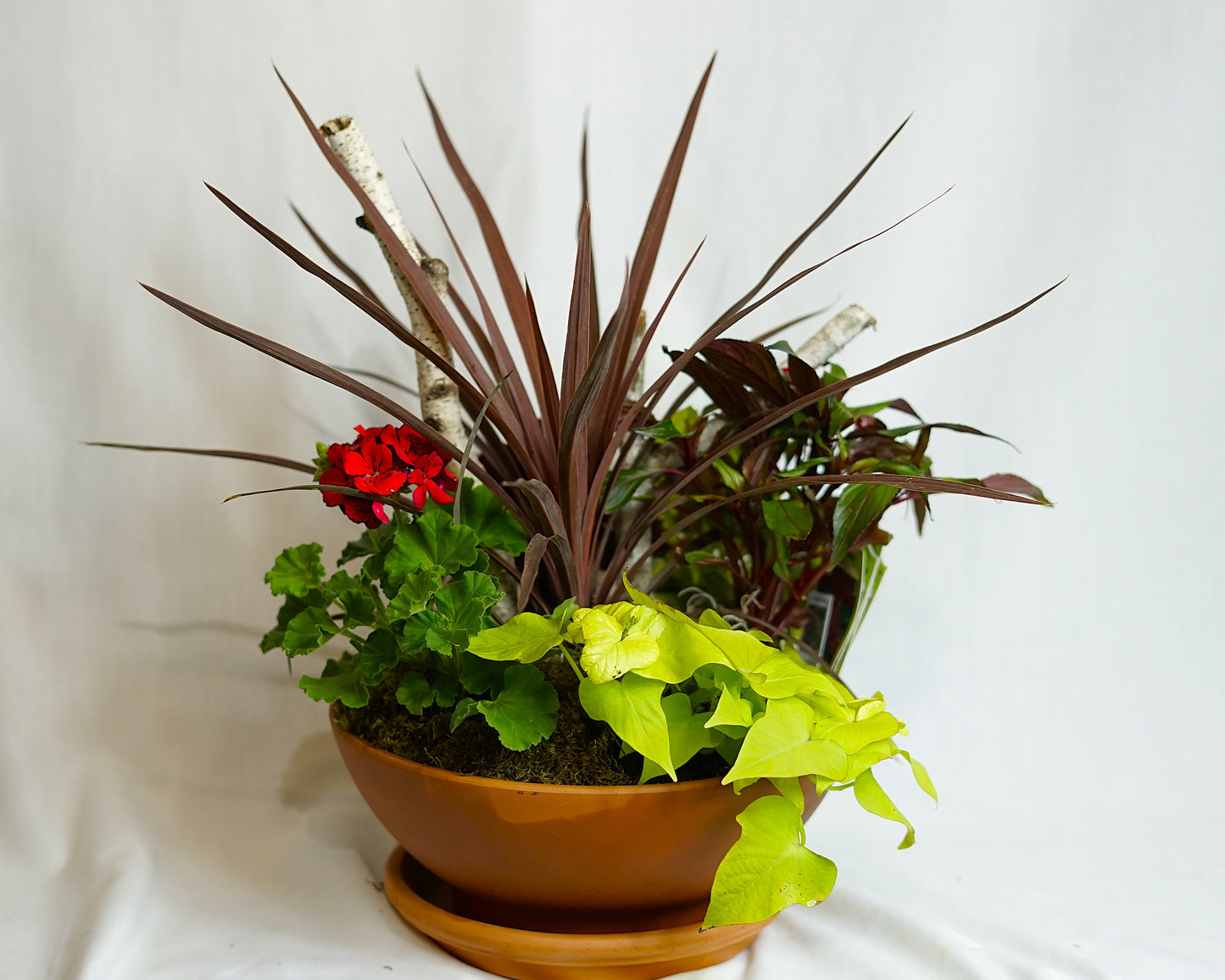 Part-Shade Outdoor Planter