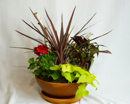 Part-Shade Outdoor Planter